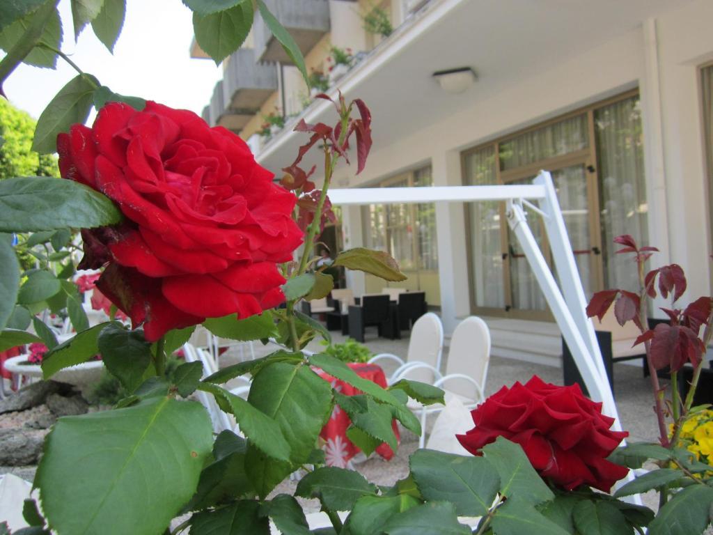 Hotel Garden Bellaria-Igea Marina Esterno foto